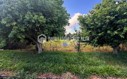 Dois Terrenos Magníficos à Venda